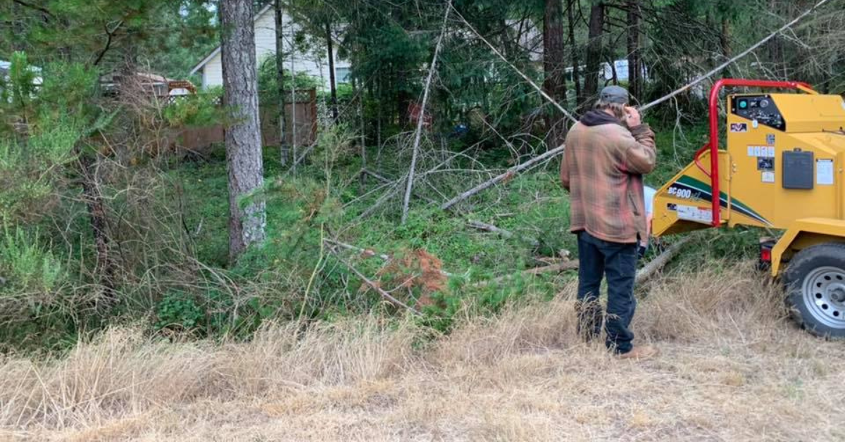 Shrub Removal