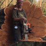 Tree Removal Services Near Me
