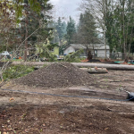 land clearing